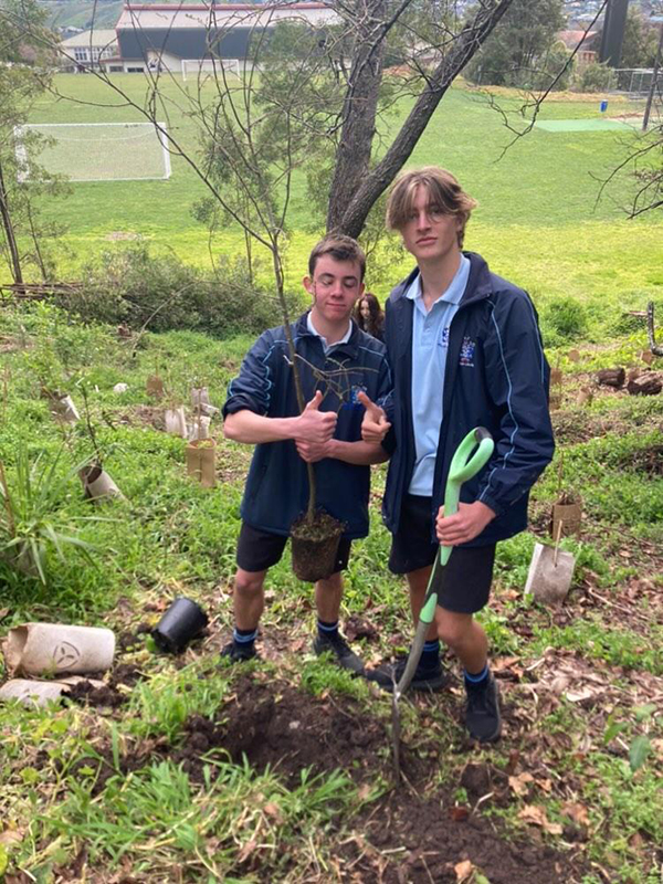 Committee tree planting photo photo