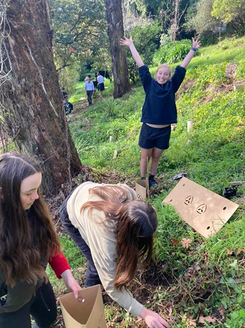 Collaboration tree planting photo