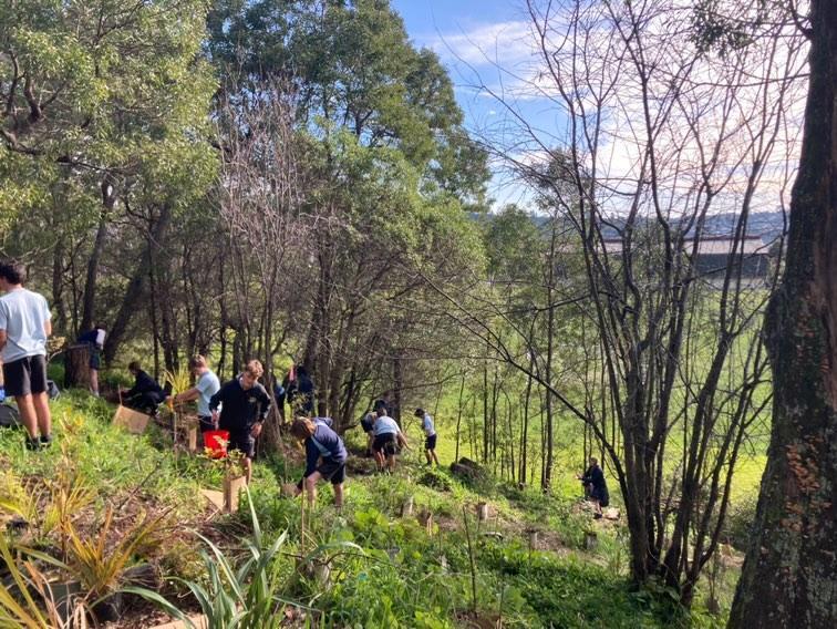 Environmental Committee tree planting photo